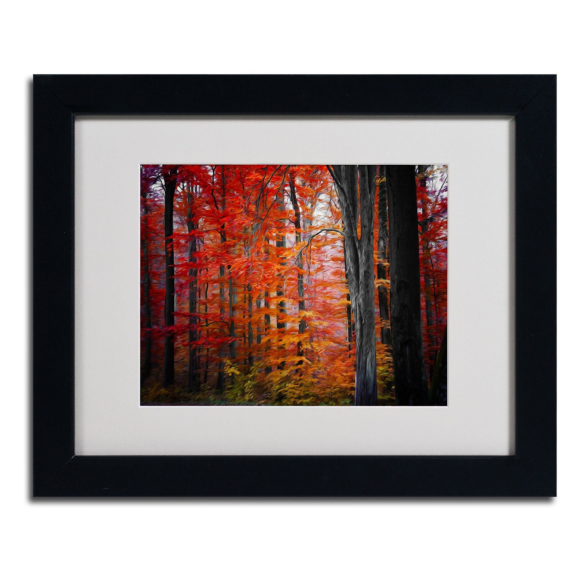 Trademark Fine Art 'No Title' 11" x 14" Black Frame Art