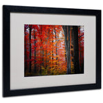 Trademark Fine Art 'No Title' 16" x 20" Black Frame Art