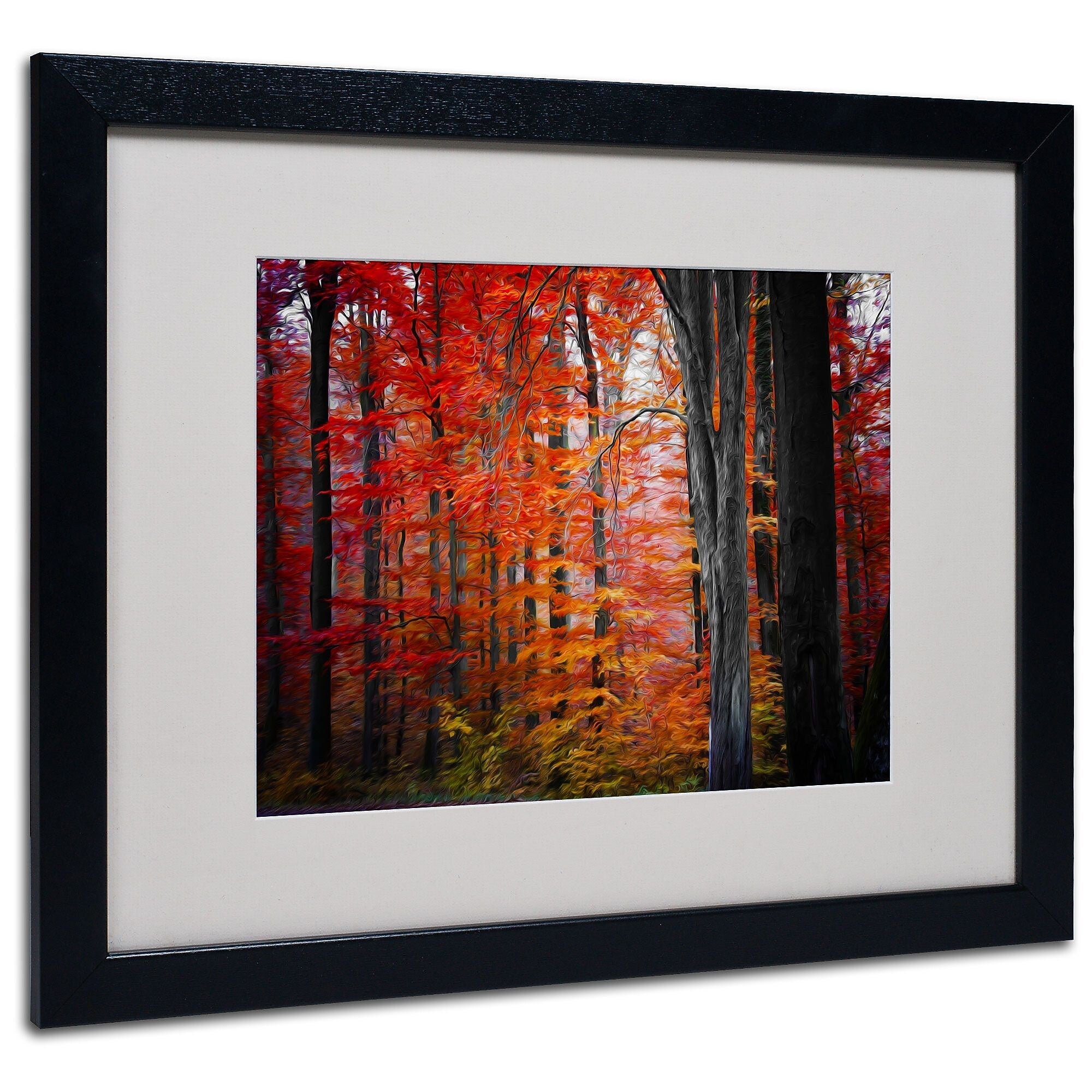 Trademark Fine Art 'No Title' 16" x 20" Black Frame Art