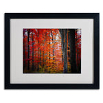 Trademark Fine Art 'No Title' 16" x 20" Black Frame Art