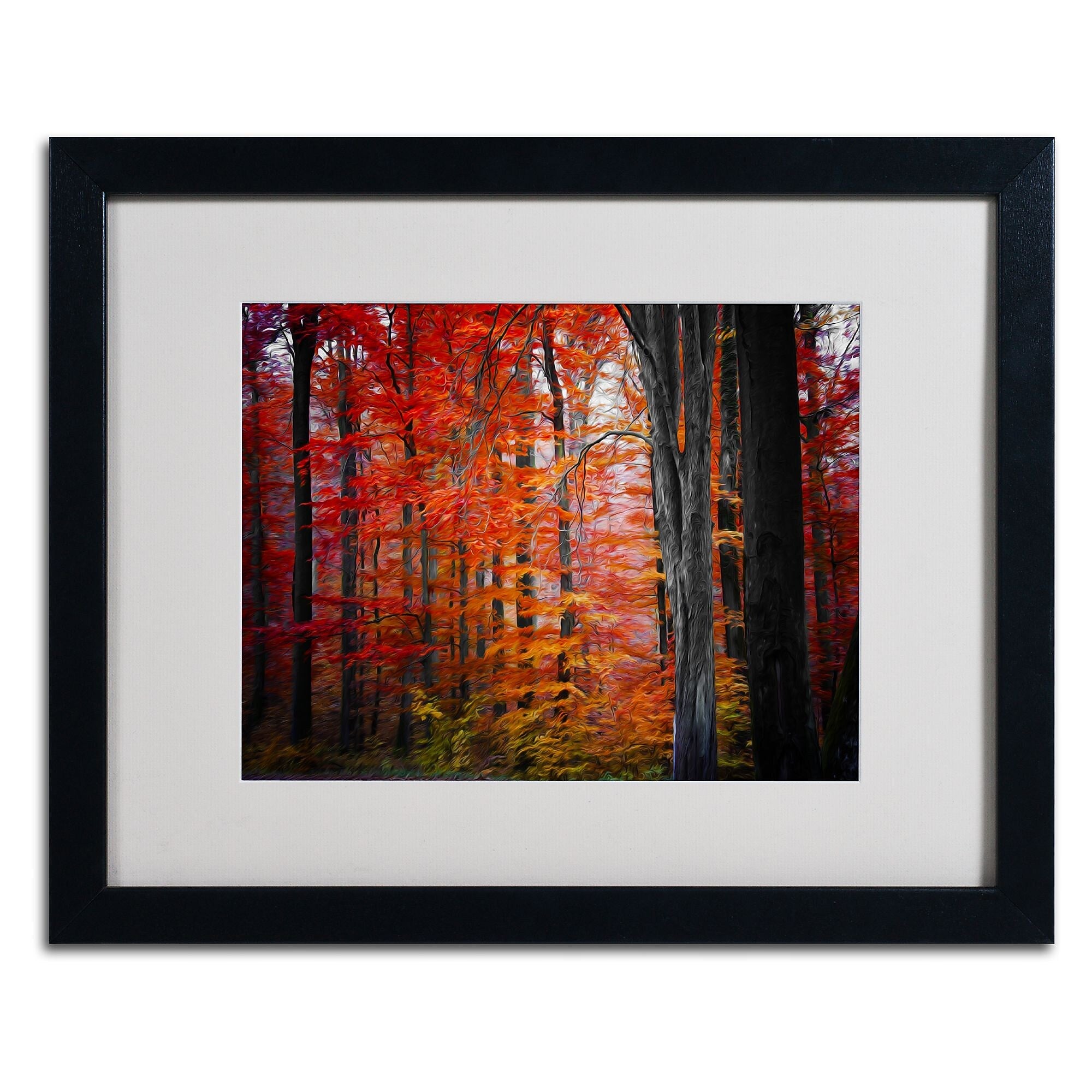 Trademark Fine Art 'No Title' 16" x 20" Black Frame Art