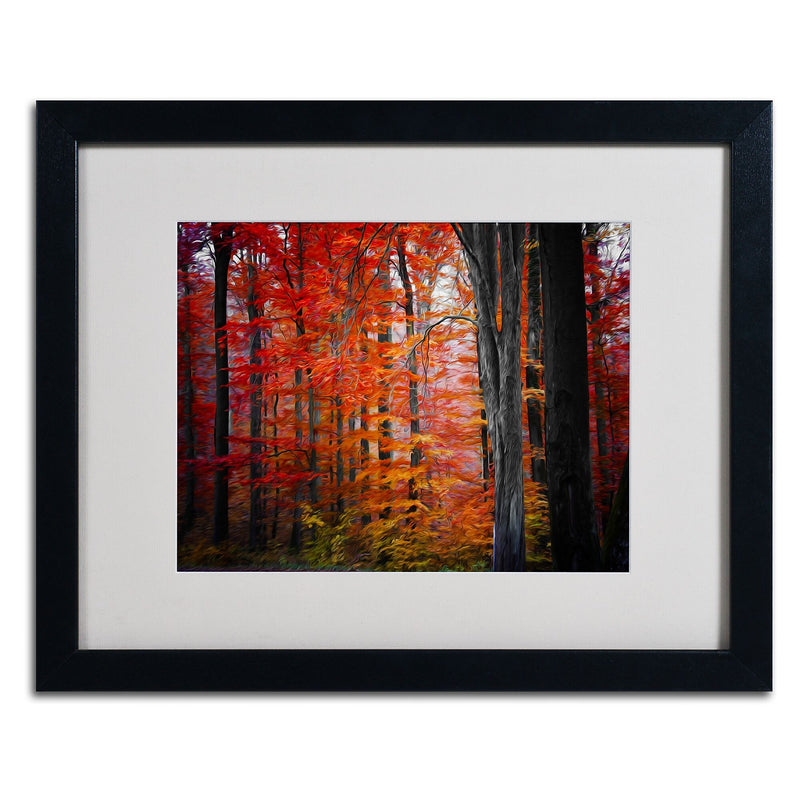 Trademark Fine Art 'No Title' 16" x 20" Black Frame Art