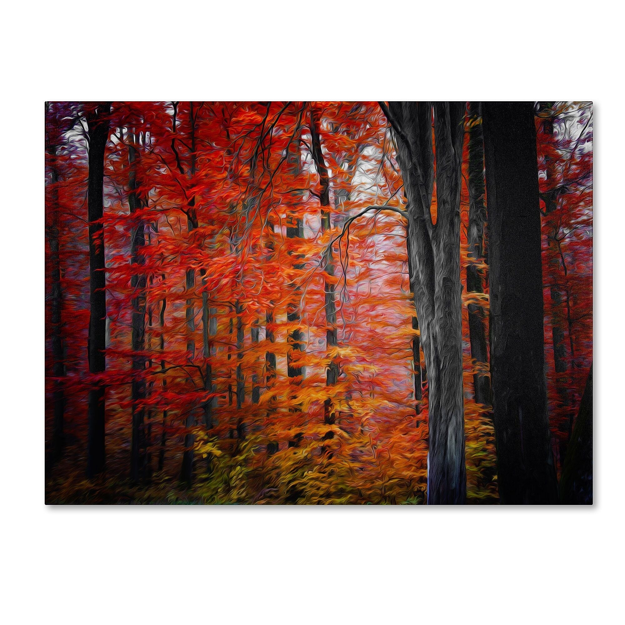 Trademark Fine Art 'No Particular Title' 16" x 24" Canvas Art