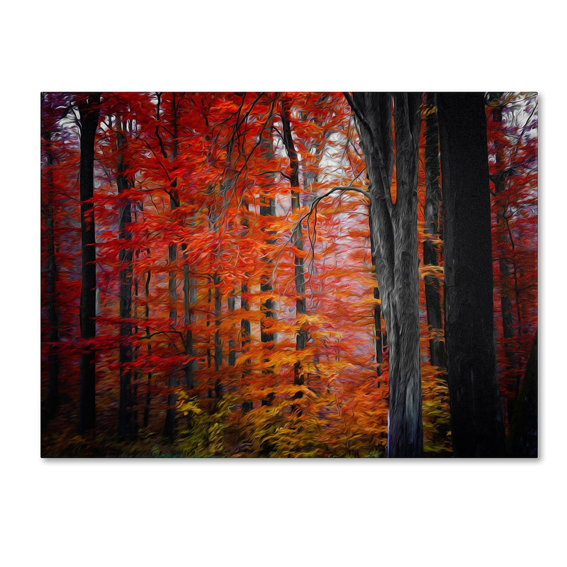 Trademark Fine Art 'No Particular Title' 22" x 32" Canvas Art