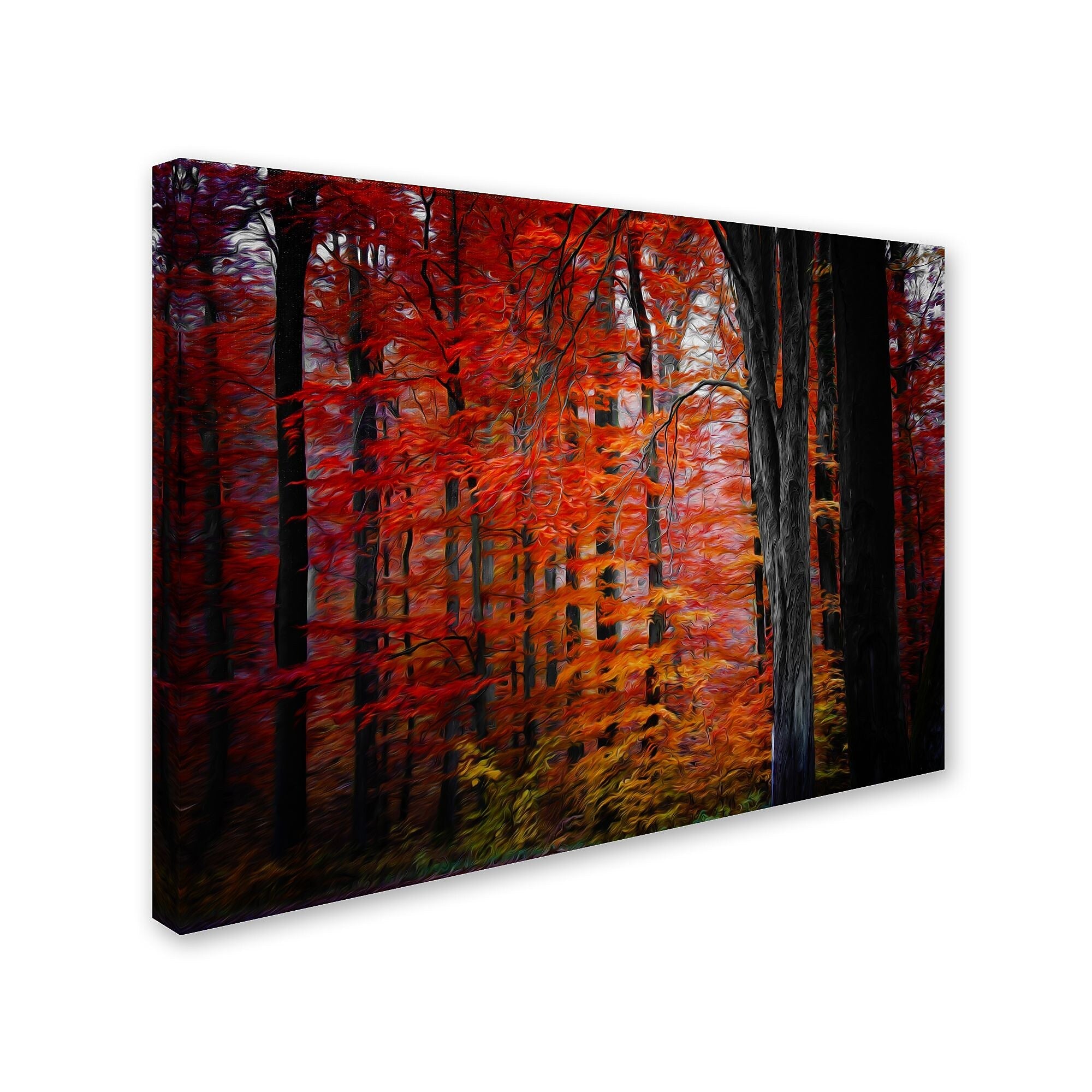 Trademark Fine Art 'No Particular Title' 16" x 24" Canvas Art