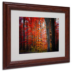 Trademark Fine Art 'No Title' 11" x 14" Wood Frame Art