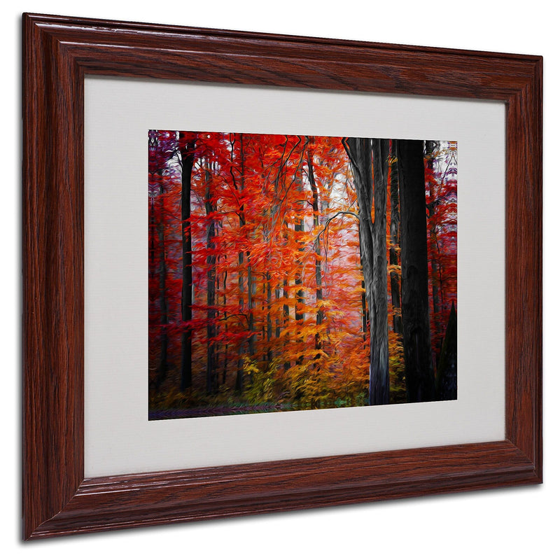 Trademark Fine Art 'No Title' 11" x 14" Wood Frame Art