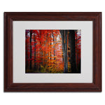 Trademark Fine Art 'No Title' 11" x 14" Wood Frame Art