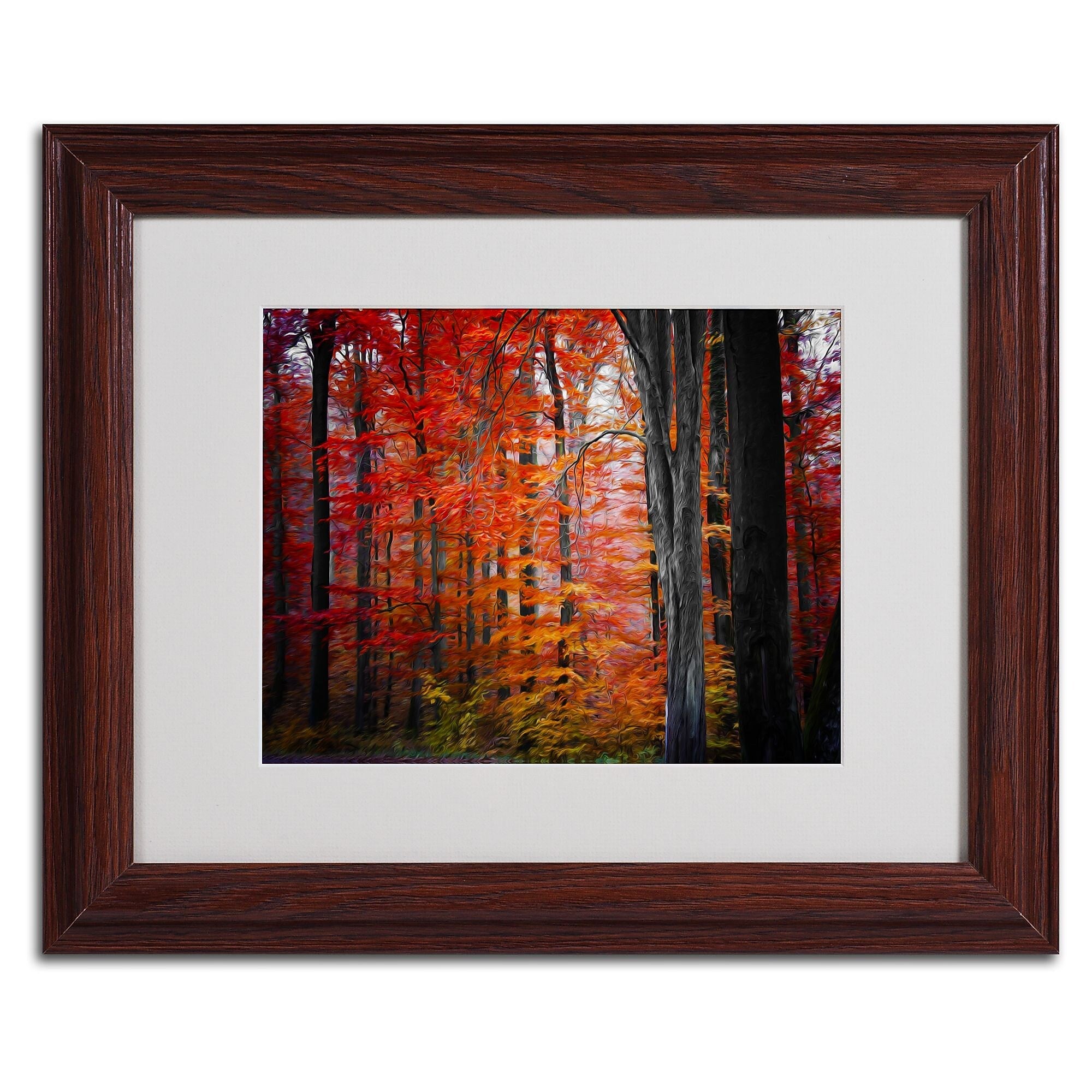Trademark Fine Art 'No Title' 11" x 14" Wood Frame Art