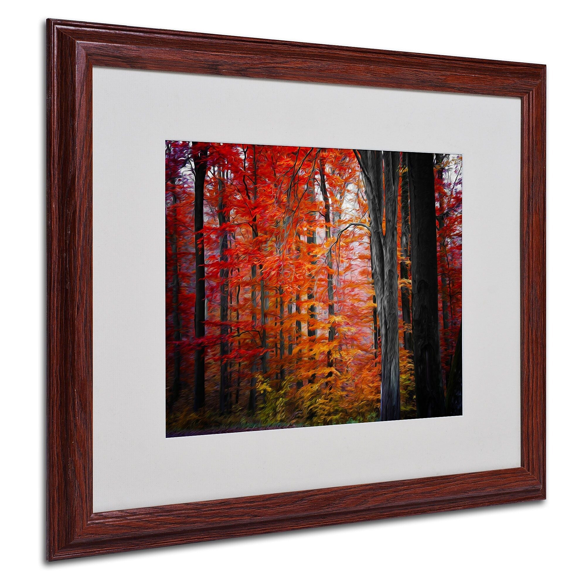 Trademark Fine Art 'No Title' 16" x 20" Wood Frame Art