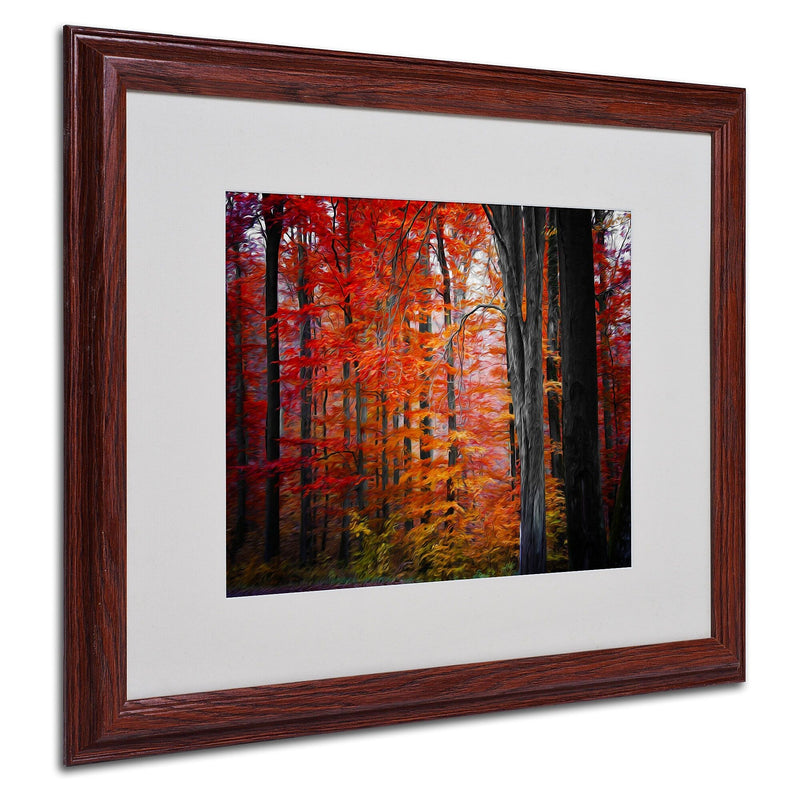 Trademark Fine Art 'No Title' 16" x 20" Wood Frame Art
