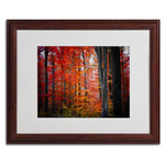 Trademark Fine Art 'No Title' 16" x 20" Wood Frame Art
