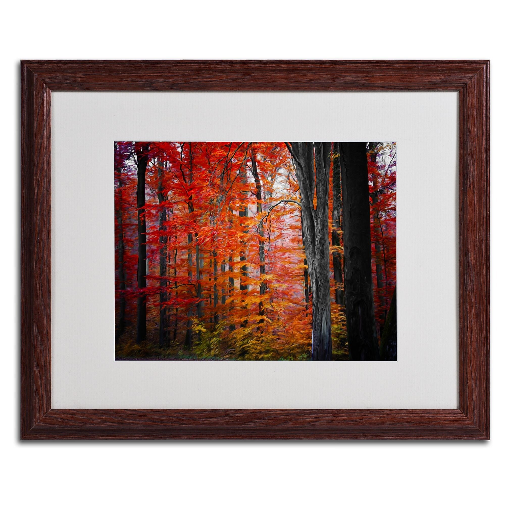 Trademark Fine Art 'No Title' 16" x 20" Wood Frame Art