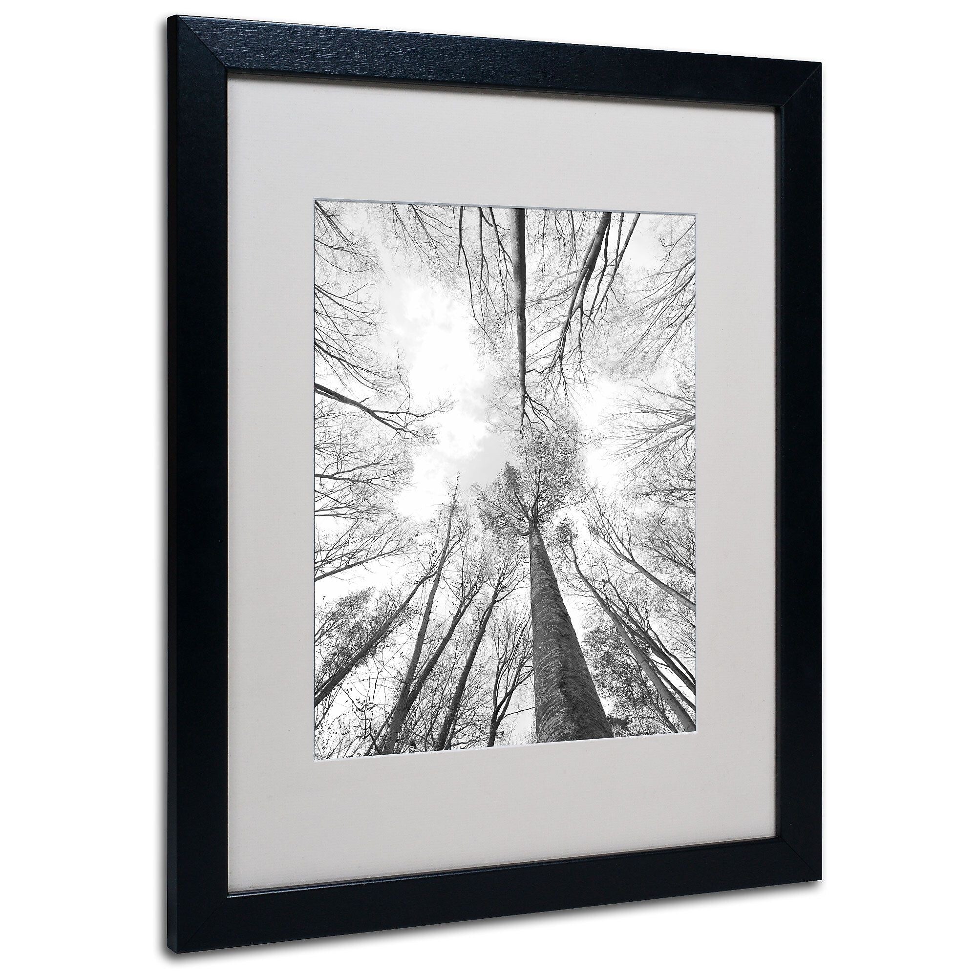 Trademark Fine Art 'Recall the Days' 16" x 20" Black Frame Art
