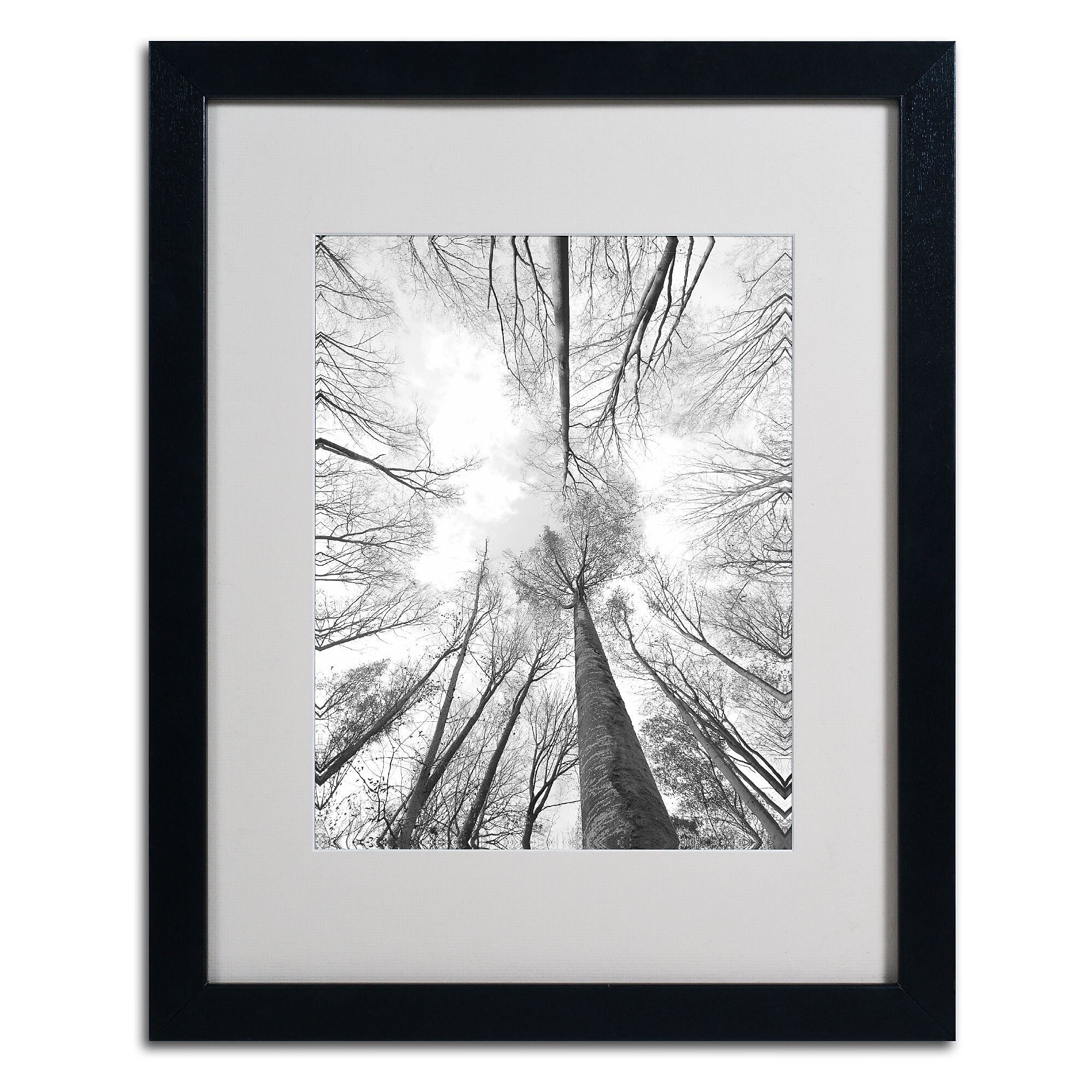 Trademark Fine Art 'Recall the Days' 16" x 20" Black Frame Art