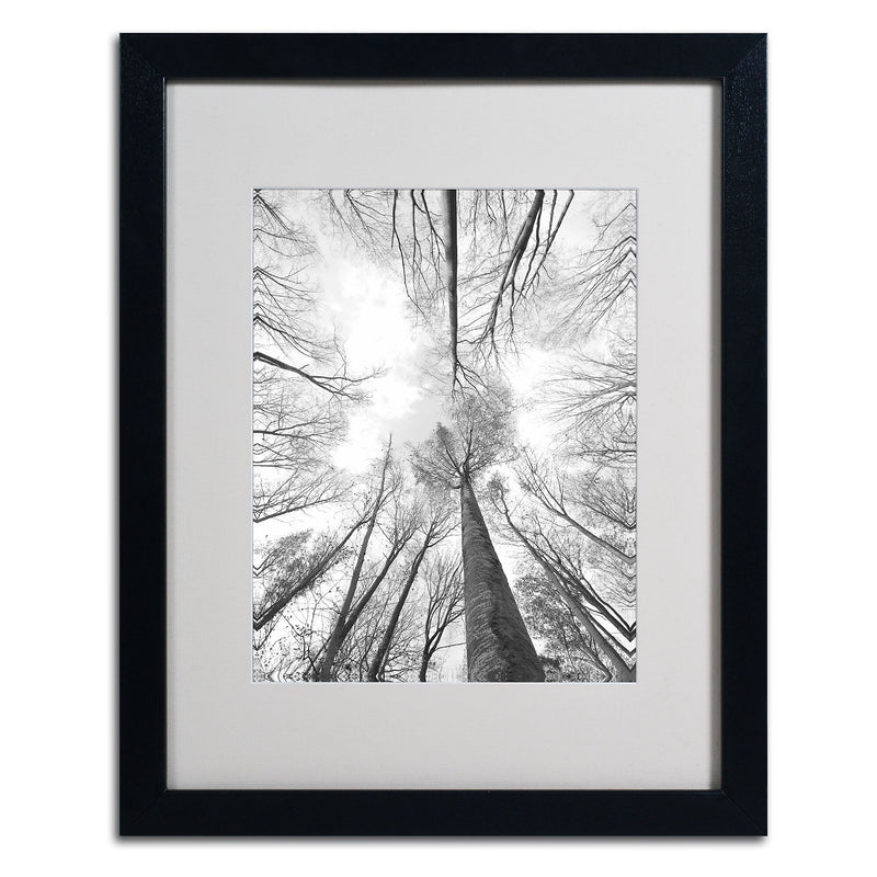Trademark Fine Art 'Recall the Days' 16" x 20" Black Frame Art