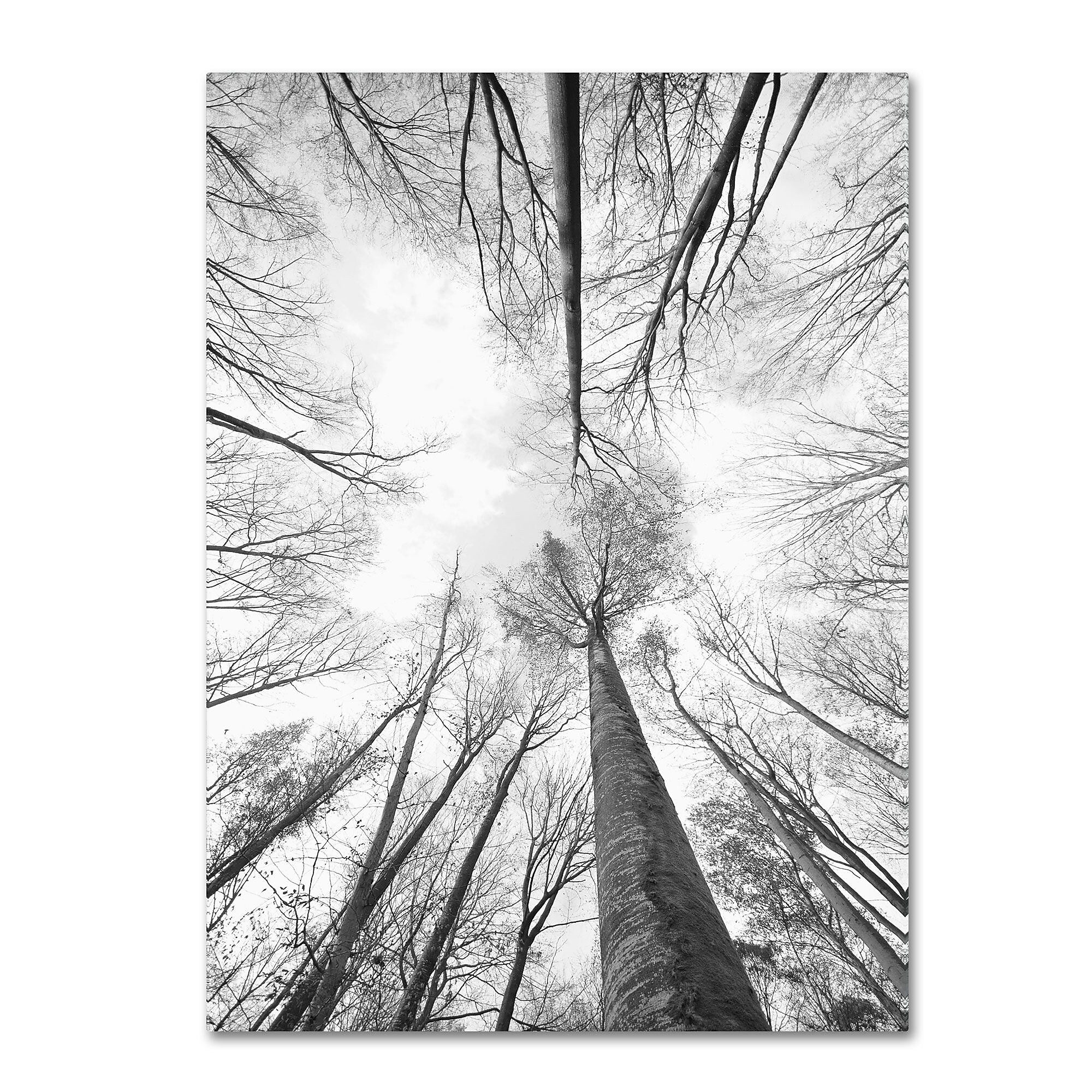 Trademark Fine Art 'Recall the Days' 22" x 32" Canvas Art