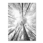 Trademark Fine Art 'Recall the Days' 16" x 24" Canvas Art