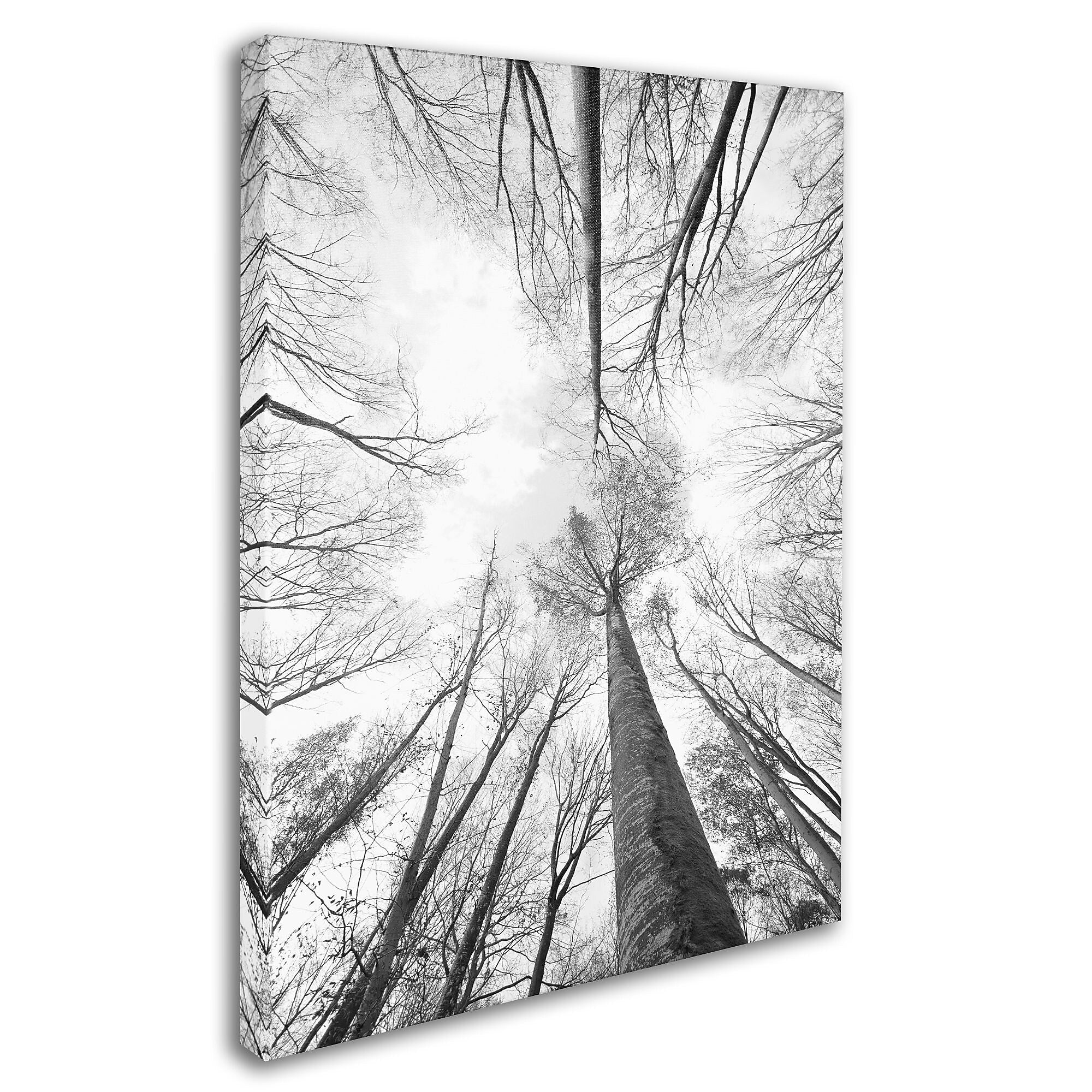 Trademark Fine Art 'Recall the Days' 22" x 32" Canvas Art