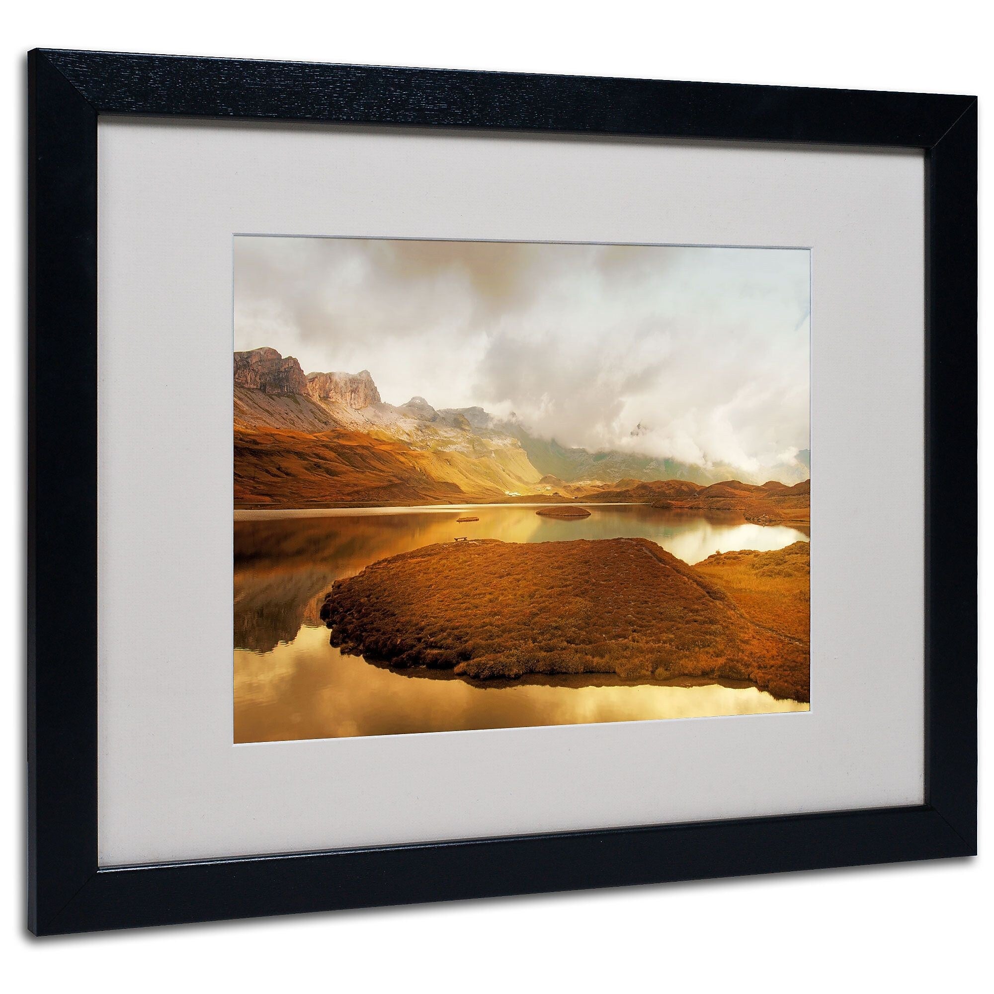 Trademark Fine Art 'Shades of Gold' 16" x 20" Black Frame Art