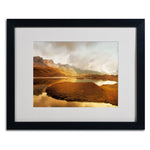 Trademark Fine Art 'Shades of Gold' 16" x 20" Black Frame Art
