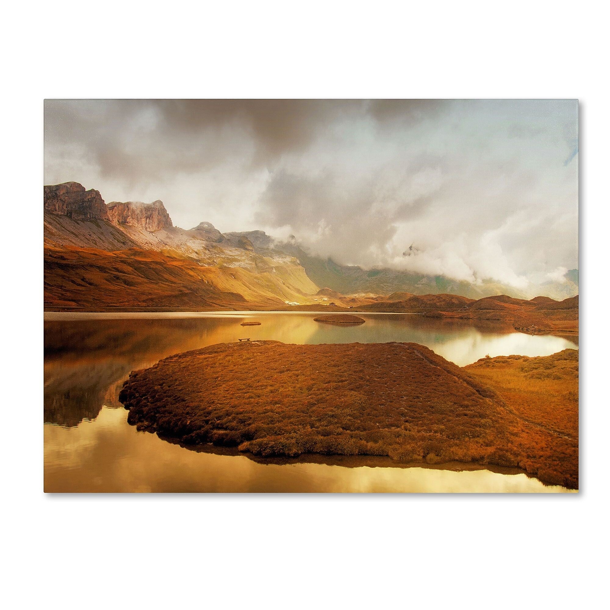 Trademark Fine Art 'Shades of Gold' 16" x 24" Canvas Art