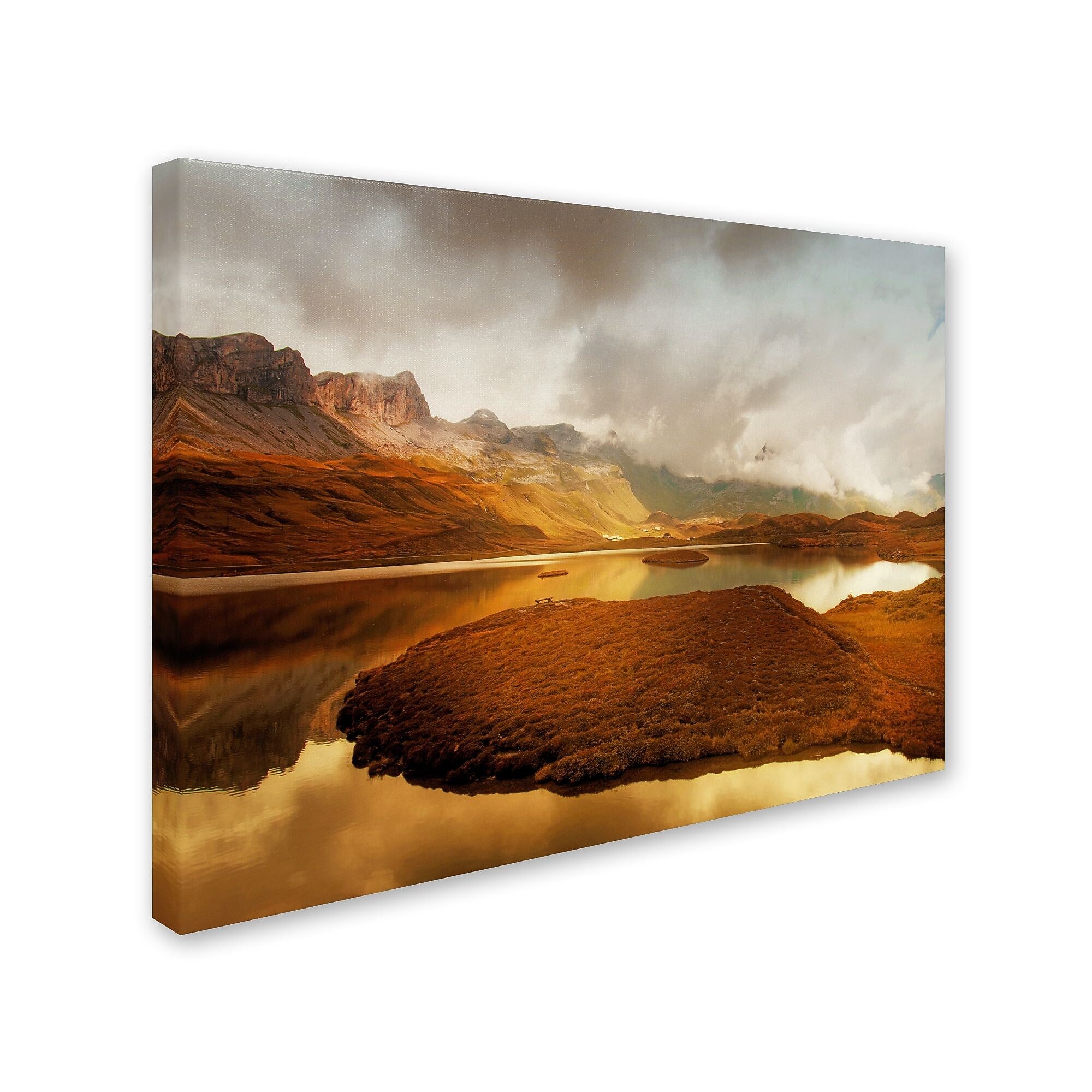 Trademark Fine Art 'Shades of Gold' 16" x 24" Canvas Art
