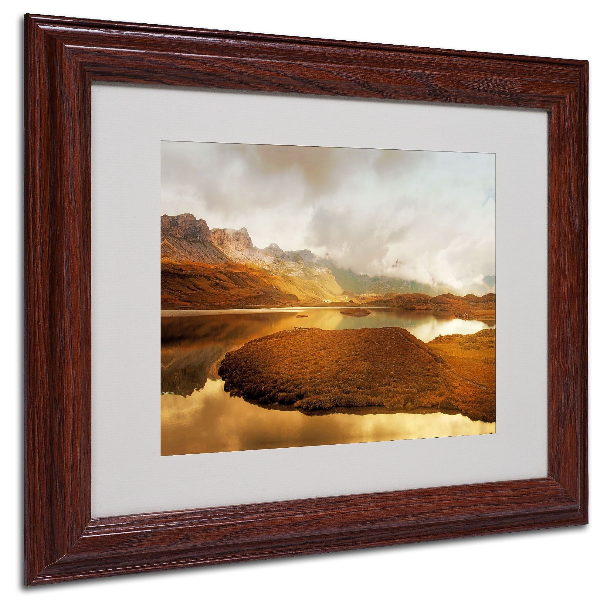 Trademark Fine Art 'Shades of Gold' 11" x 14" Wood Frame Art