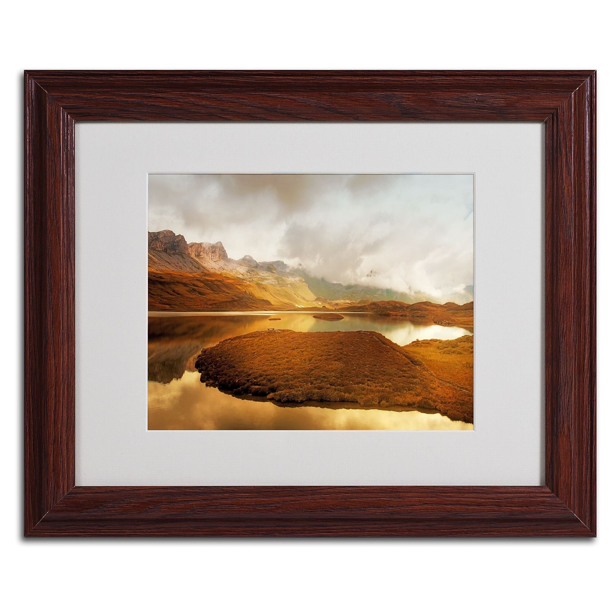 Trademark Fine Art 'Shades of Gold' 11" x 14" Wood Frame Art
