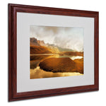 Trademark Fine Art 'Shades of Gold' 16" x 20" Wood Frame Art