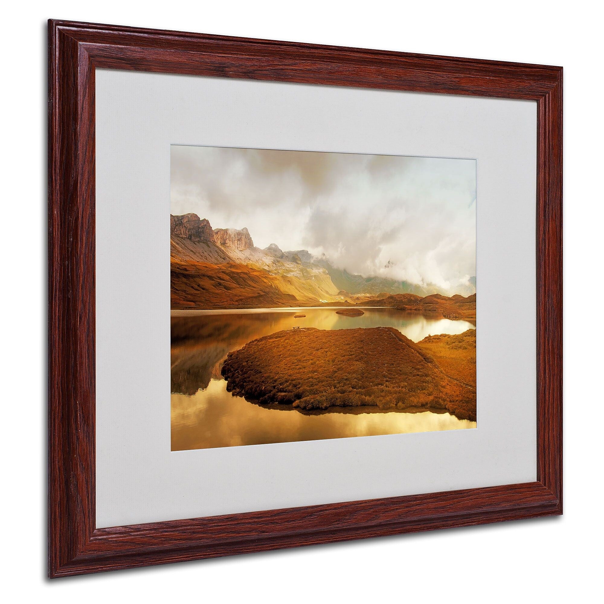 Trademark Fine Art 'Shades of Gold' 16" x 20" Wood Frame Art