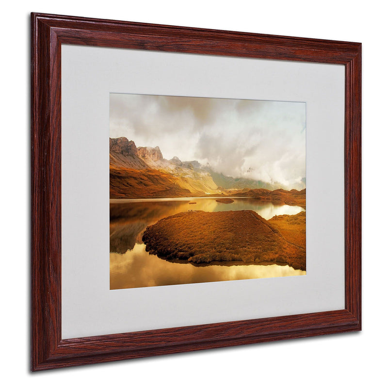 Trademark Fine Art 'Shades of Gold' 16" x 20" Wood Frame Art