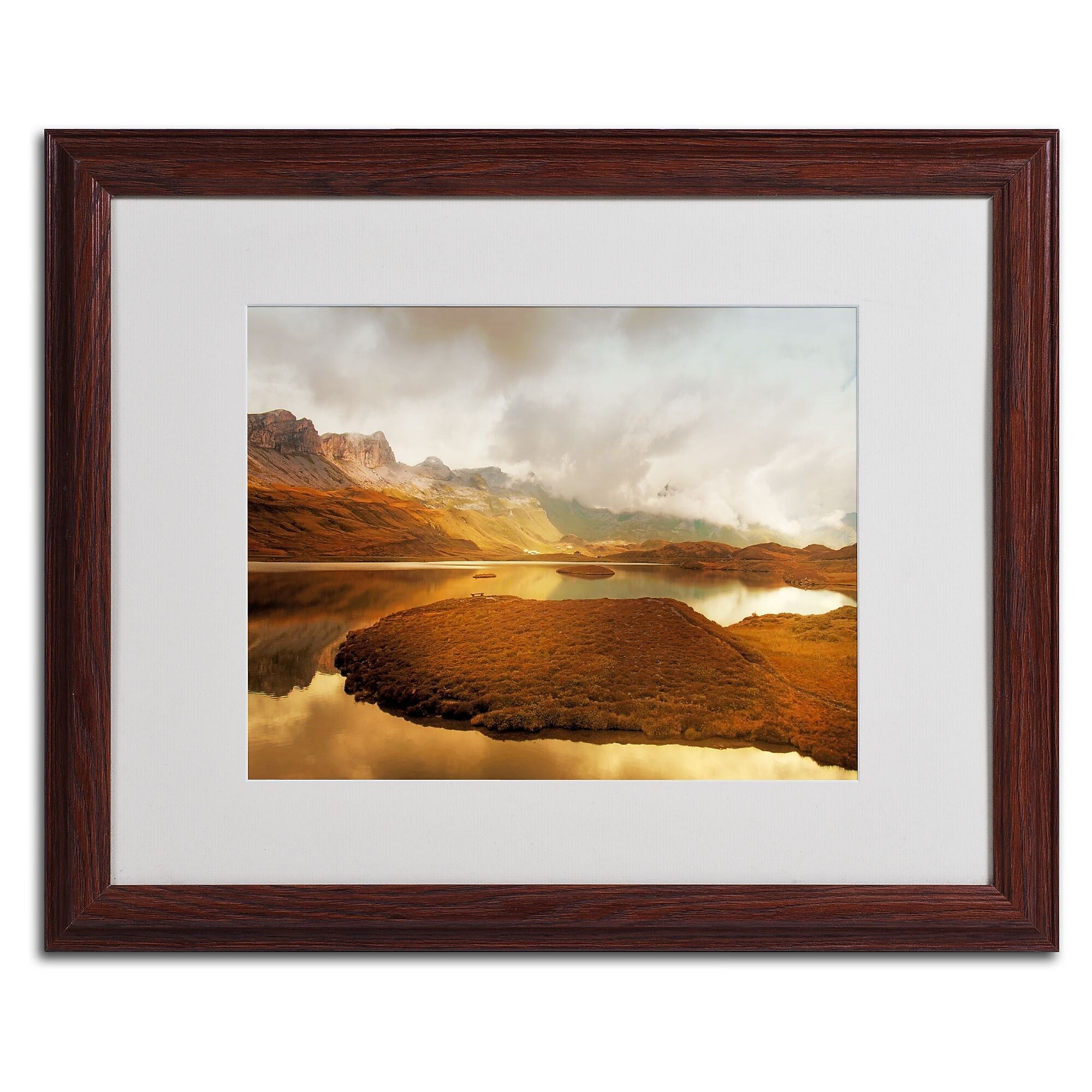 Trademark Fine Art 'Shades of Gold' 16" x 20" Wood Frame Art