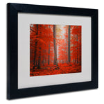 Trademark Fine Art 'Speaking of Tongue' 11" x 14" Black Frame Art