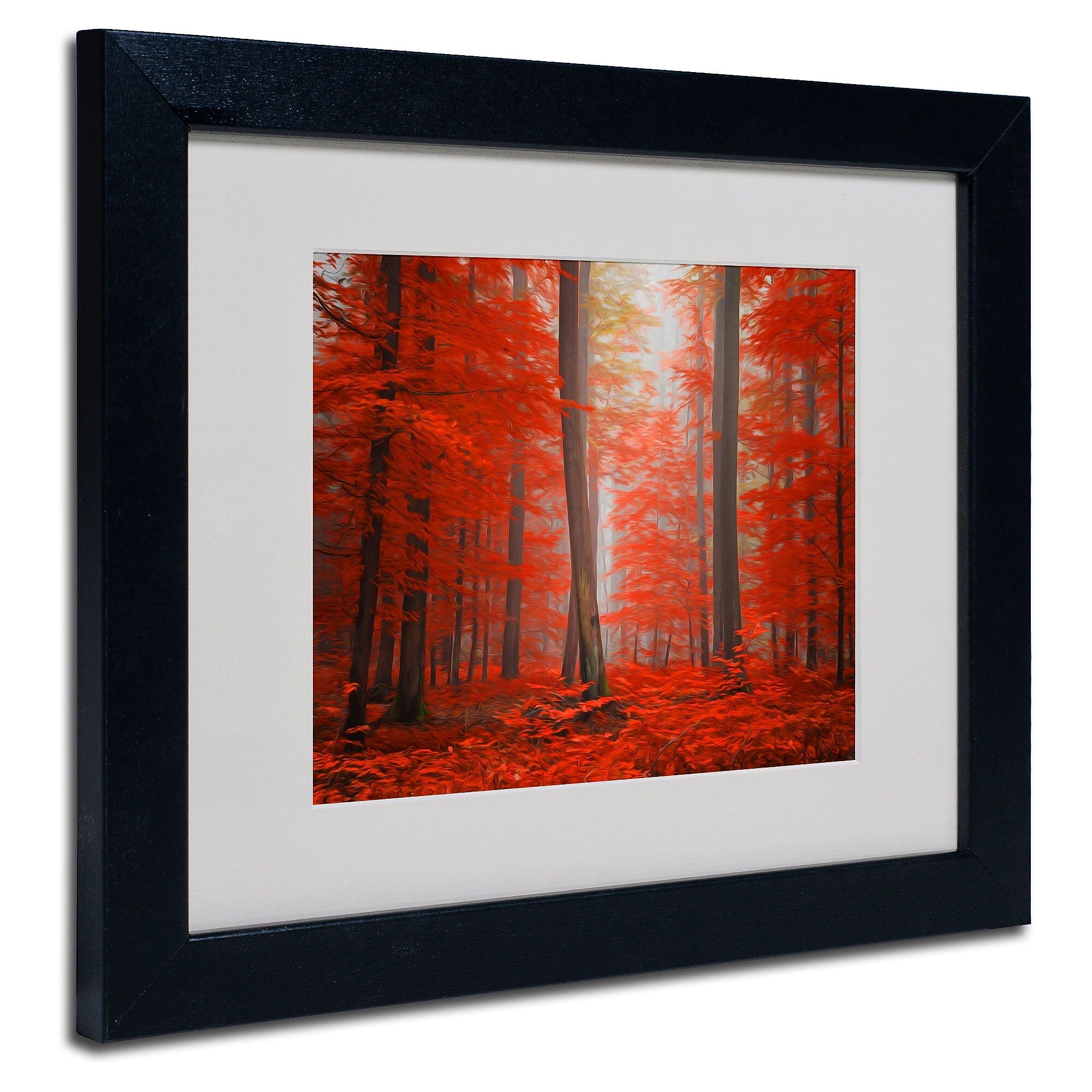 Trademark Fine Art 'Speaking of Tongue' 11" x 14" Black Frame Art