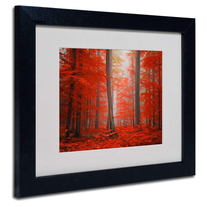 Trademark Fine Art 'Speaking of Tongue' 11" x 14" Black Frame Art