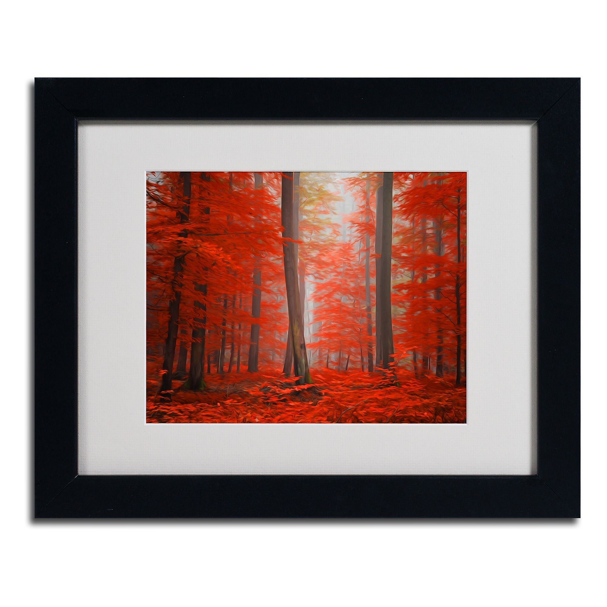 Trademark Fine Art 'Speaking of Tongue' 11" x 14" Black Frame Art