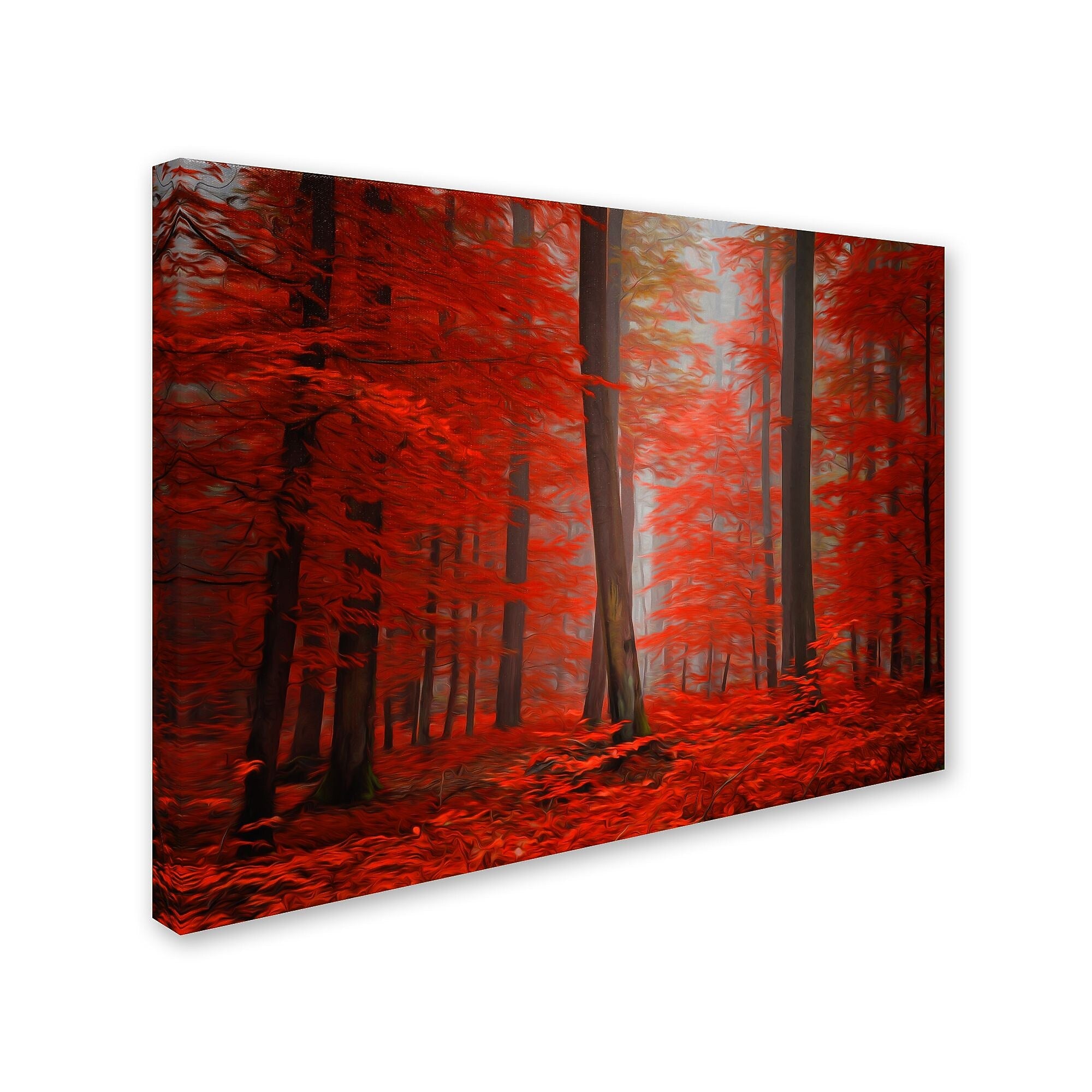 Trademark Fine Art 'Speaking of Tongues' 16" x 24" Canvas Art