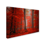 Trademark Fine Art 'Speaking of Tongues' 30" x 47" Canvas Art