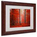 Trademark Fine Art 'Speaking of Tongue' 11" x 14" Wood Frame Art