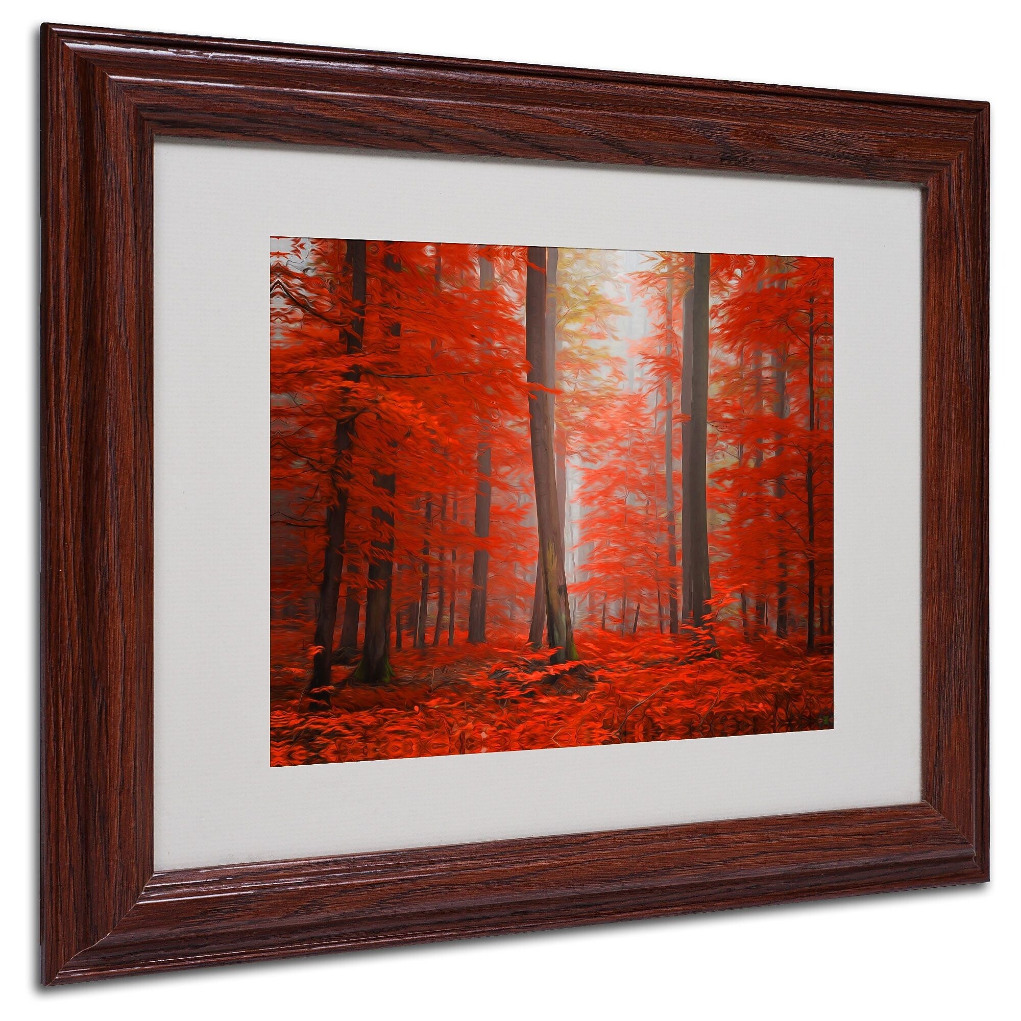 Trademark Fine Art 'Speaking of Tongue' 11" x 14" Wood Frame Art