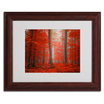 Trademark Fine Art 'Speaking of Tongue' 11" x 14" Wood Frame Art