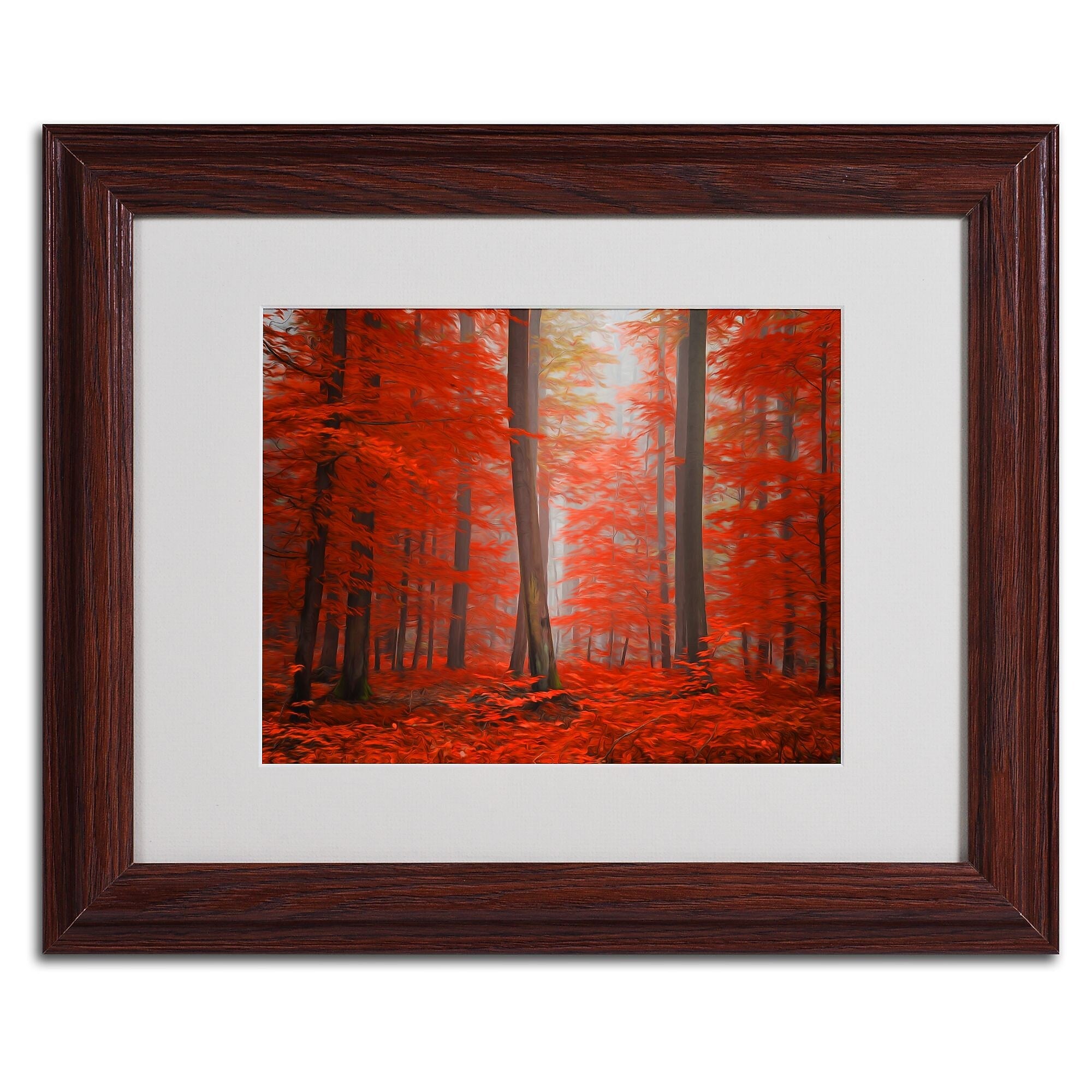 Trademark Fine Art 'Speaking of Tongue' 11" x 14" Wood Frame Art
