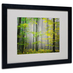 Trademark Fine Art 'Sugar Low' 16" x 20" Black Frame Art