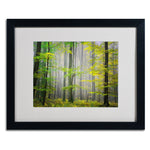 Trademark Fine Art 'Sugar Low' 16" x 20" Black Frame Art