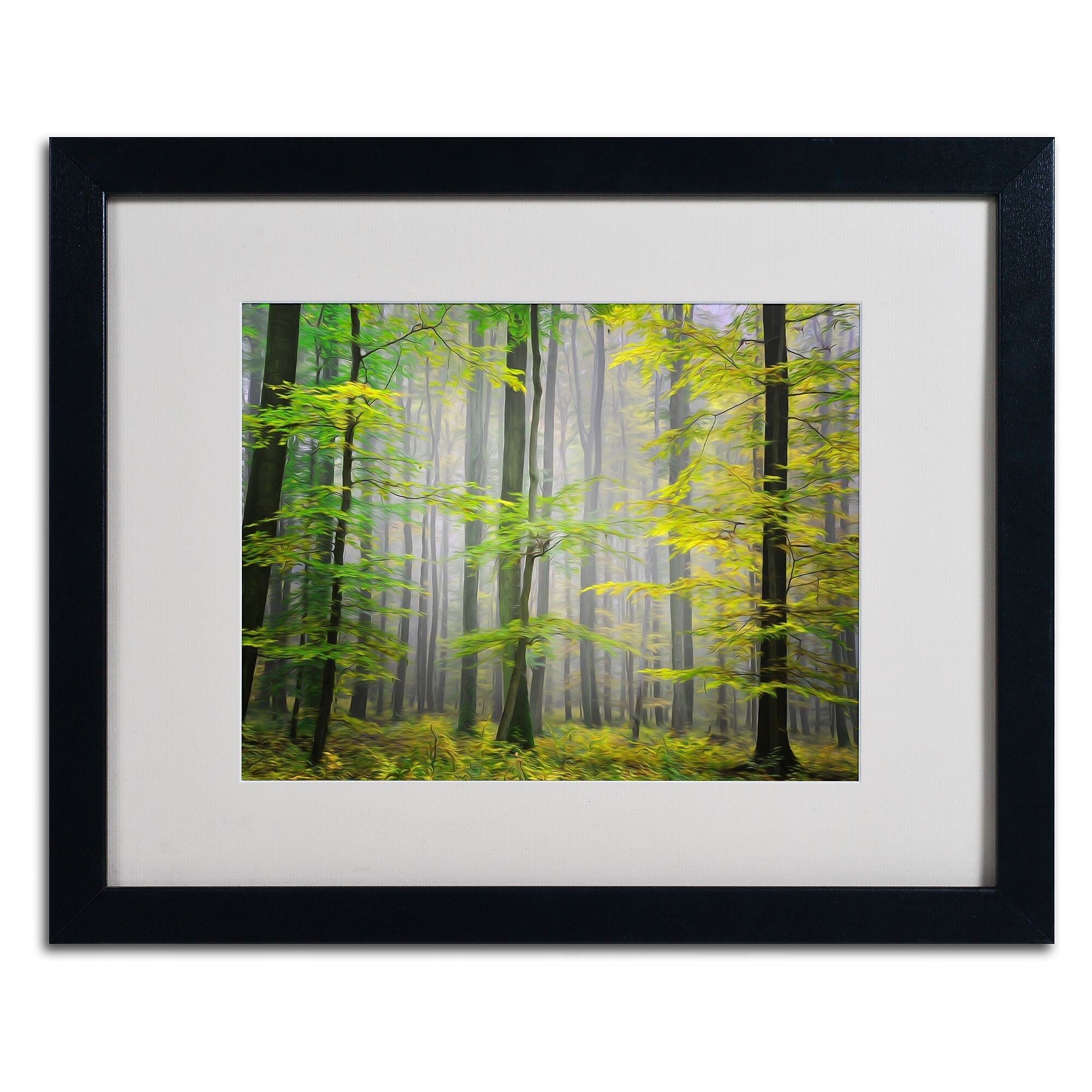 Trademark Fine Art 'Sugar Low' 16" x 20" Black Frame Art