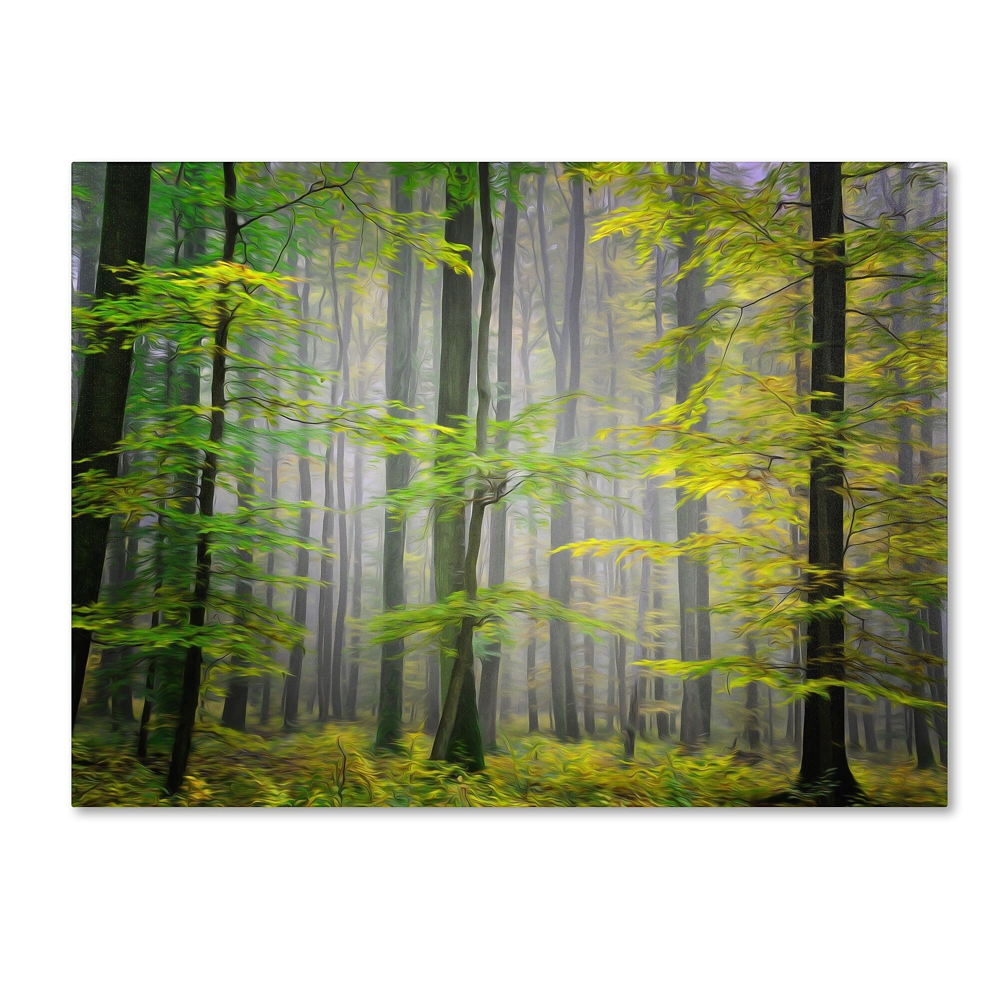 Trademark Fine Art 'Sugar Low' 22" x 32" Canvas Art
