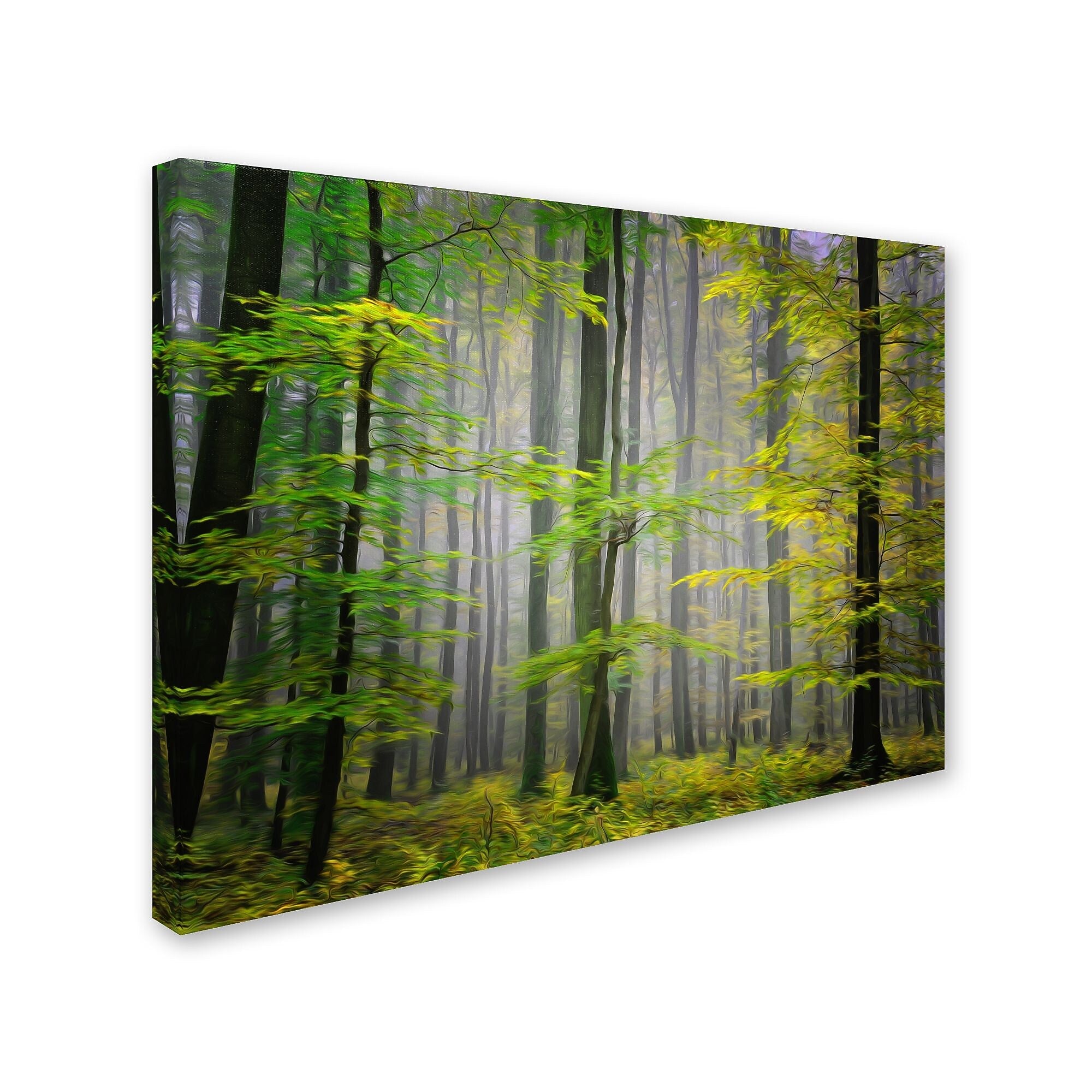Trademark Fine Art 'Sugar Low' 22" x 32" Canvas Art