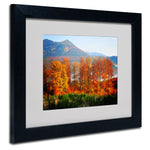 Trademark Fine Art 'Swing' 11" x 14" Black Frame Art