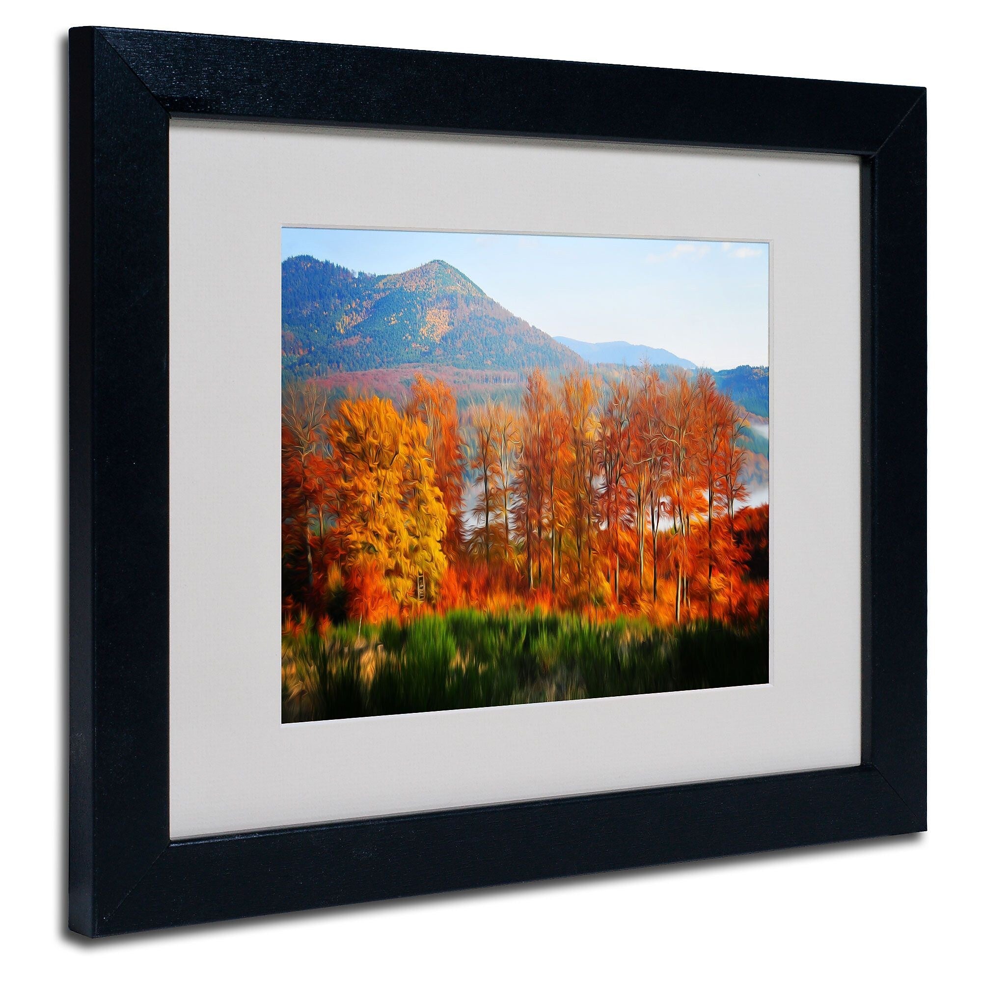 Trademark Fine Art 'Swing' 11" x 14" Black Frame Art